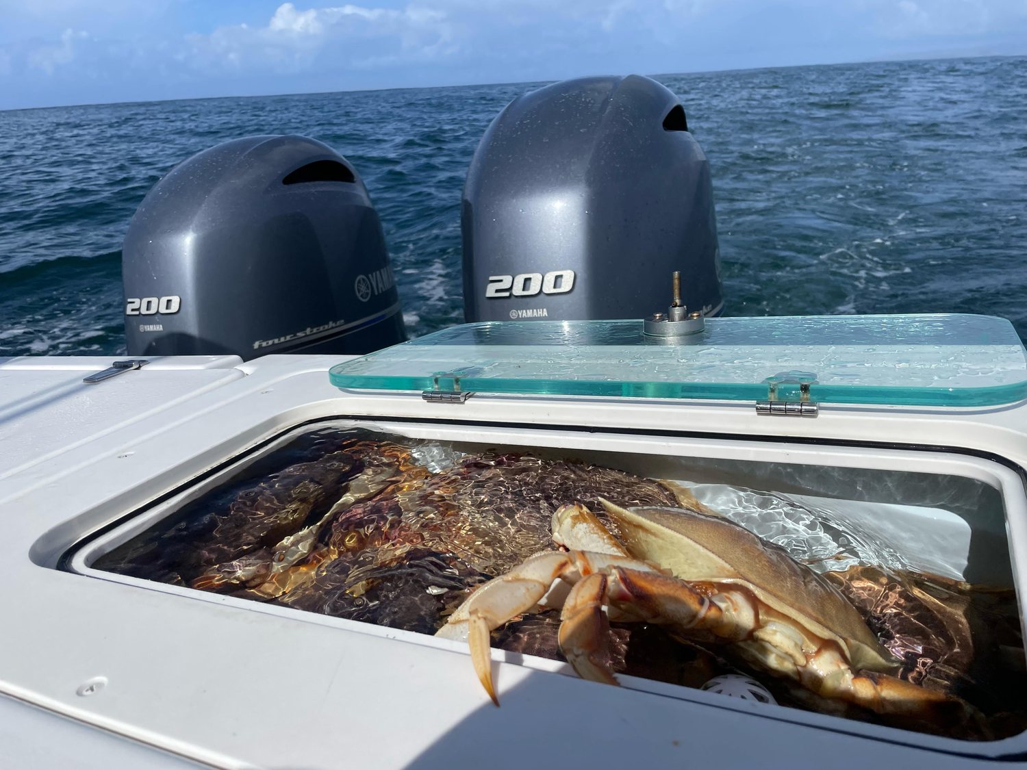 Dungeness Crab & Flatfish Combo